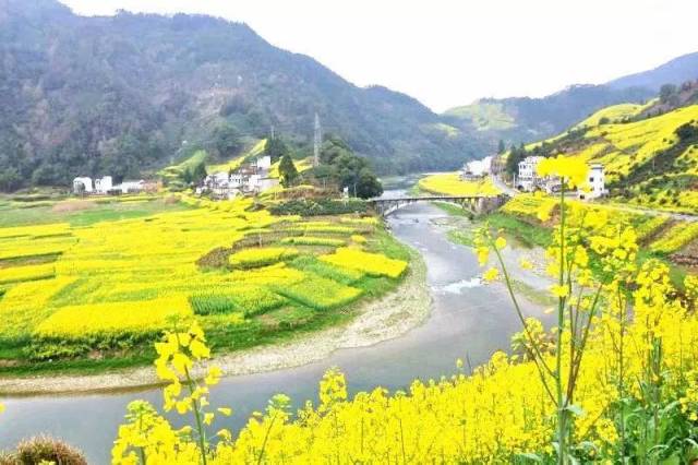 19-3.20皖南赏春徒步行摄大川岛 武阳 昌溪 石潭2日游