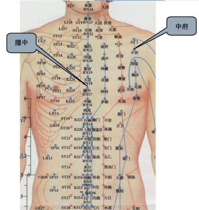 中医| 对任督二脉·真气·小周天的认识