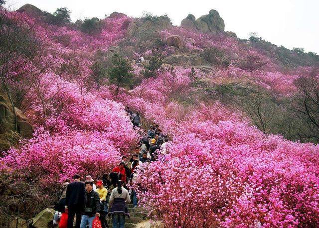 国内春季30处最美春景,总有你没去过的地方