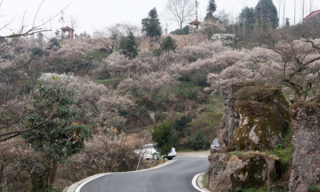 门票:免费;地址:大邑雾山乡大坪村;自驾:成都→成温邛高速→大邑南