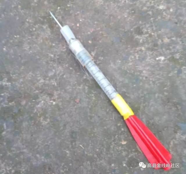 残忍:宜宾惊现"打狗队",自家院里的狗竟被人用毒针射死