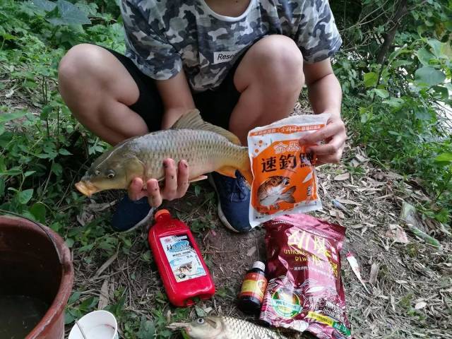 如何从鱼泡来辨别是什么鱼以及鱼的大小?
