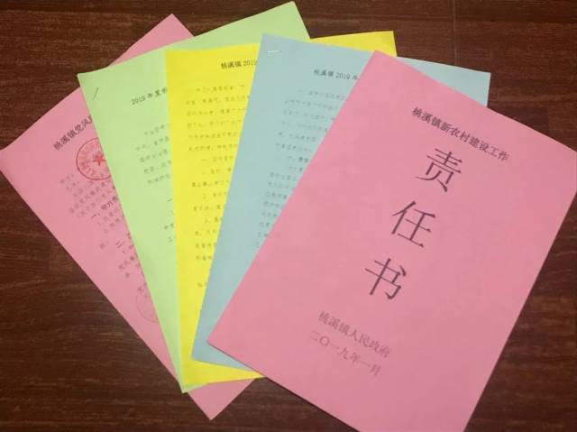 扛责任 强担当 治顽疾 促发展:桃溪镇召开2019年全镇干部大会