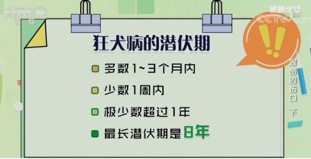 狂犬病的潜伏期多数是1~3个月,少数1周内发作,极少数超过1年发作.