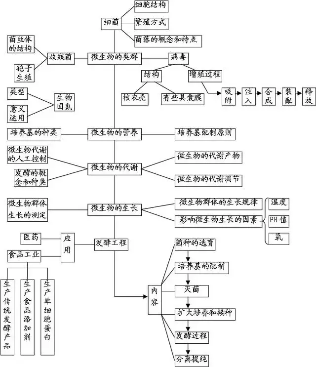 高中生物知识结构图全汇总!一目了然,简直太棒了!收藏