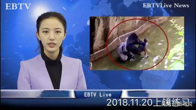 赵依宁:我是一名晋城一中艺考生