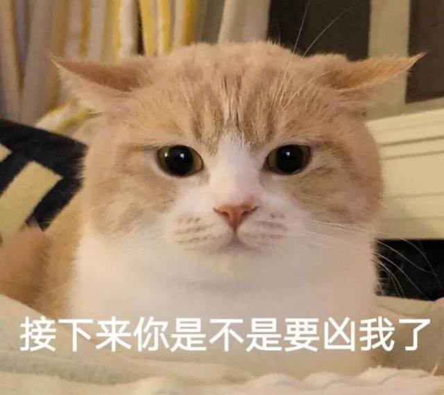 表情包:你表情包太多,不想和你聊了