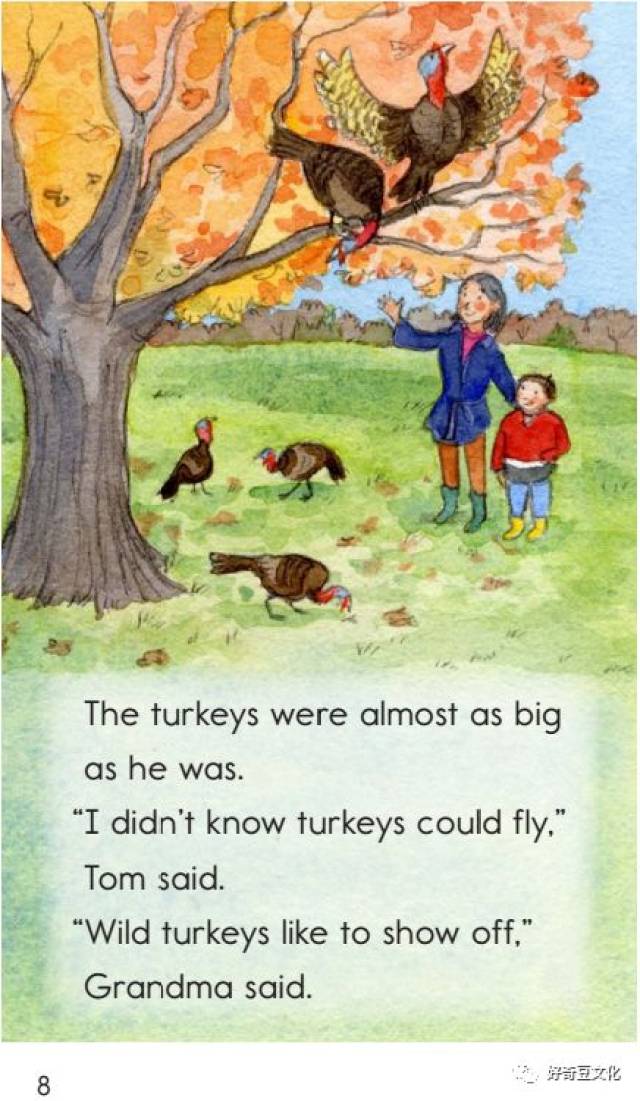 绘本共读丨能学到动物和感恩节知识的绘本《turkeys in the t
