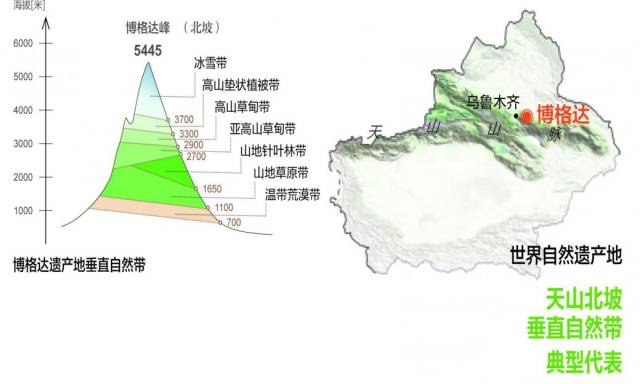 南坡——托木尔:基带为暖温带荒漠带