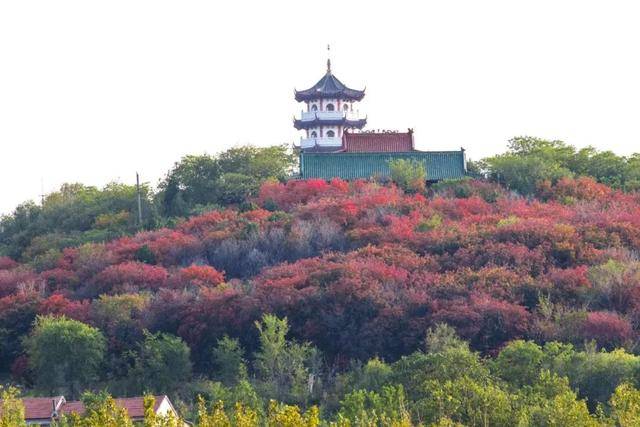 祈福海浮山,春游老龙湾,三月三文化旅游节即将开幕