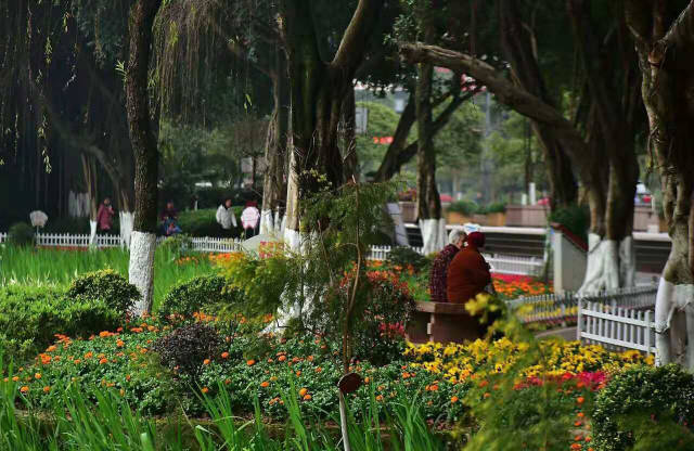 大渡口公园一年四季鸟语花香,保存着大渡口人的记忆,这里人多花也多