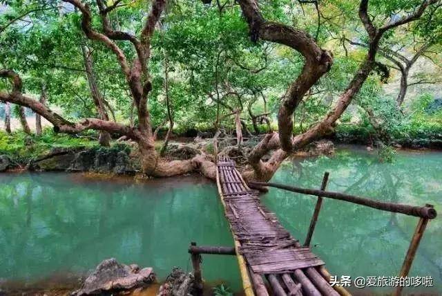 看过桂林山水就算去过广西了?这些新宠才叫人上瘾!
