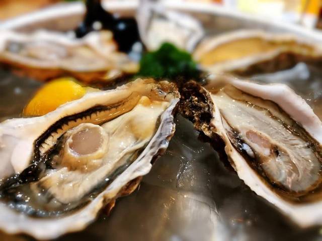 走进青岛兰巴赫 感受舌尖上的德国