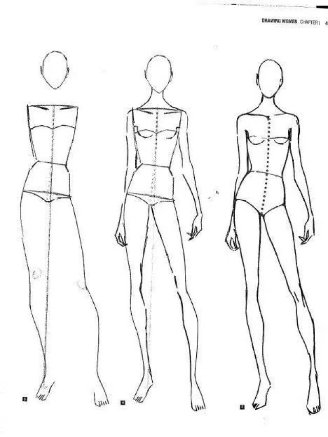 干货| 100 张人体素材,最基础的时装画知识正在派发.