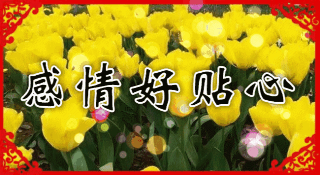 早上好,今天是2019年3月份的第一天,全新的一月,祝你好心情!
