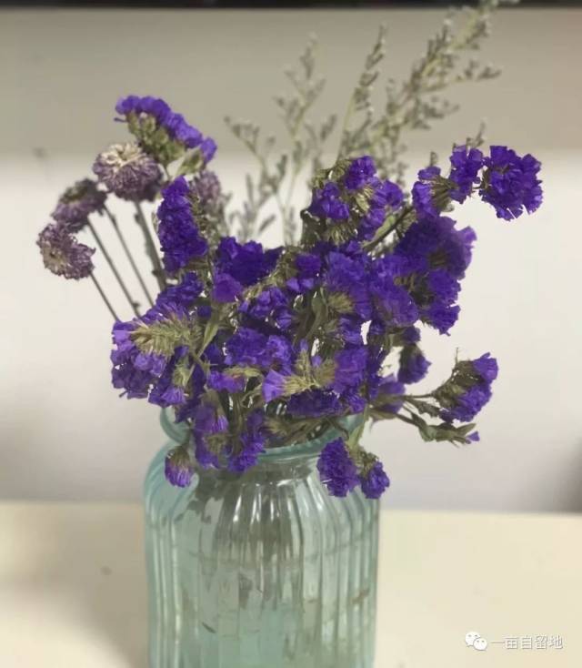 【乱弹琵琶】什么是幸福