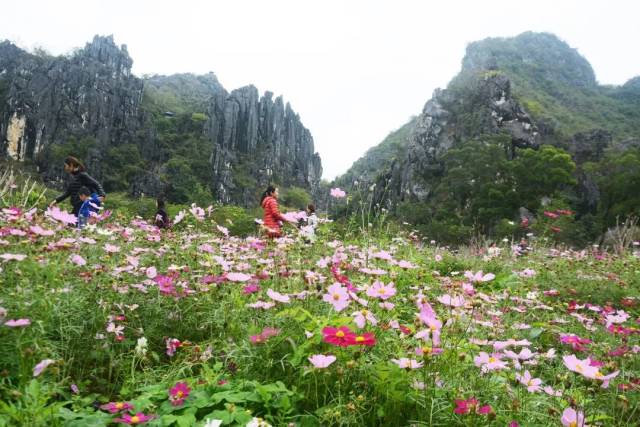 2019年阳春春湾桃花节回顾,欢乐石林,醉美龙宫,石林玻璃栈道