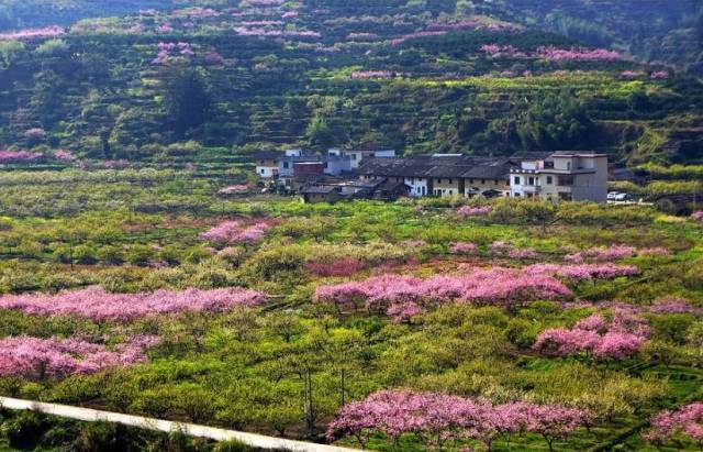 这里是 韶关乐昌九峰山