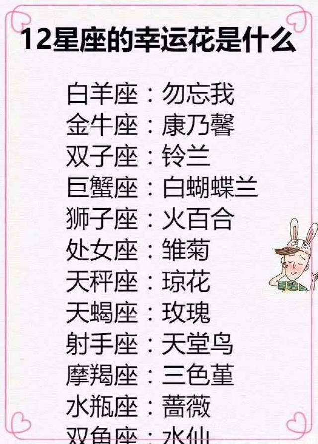 12星座的幸运花是什么