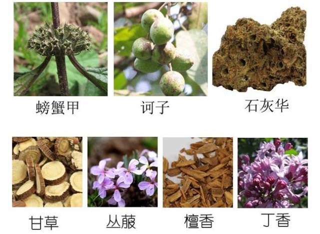 七味螃蟹甲丸解析