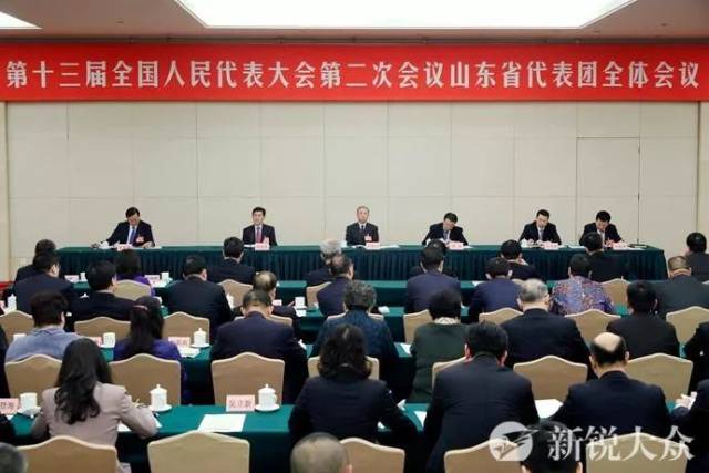 两会播报丨十三届全国人大二次会议山东代表团成立 推选刘家义为团长