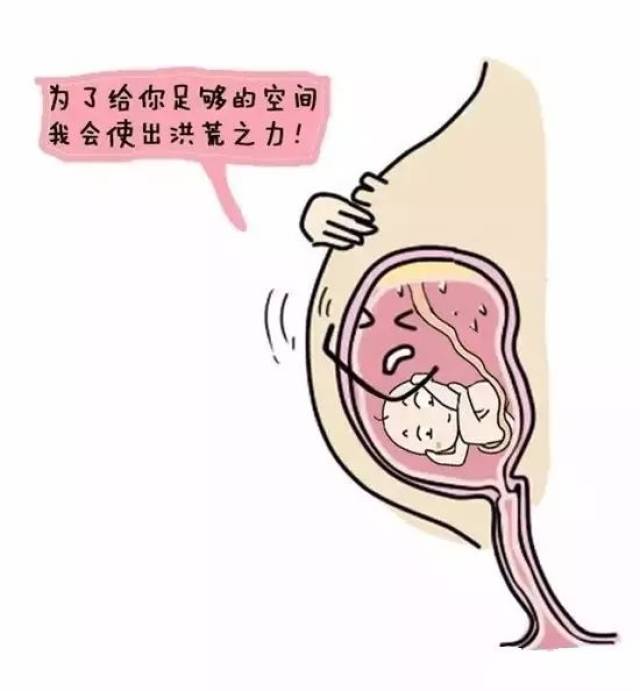 怀孕时内脏器官的"苦难",心疼每个孕妈妈