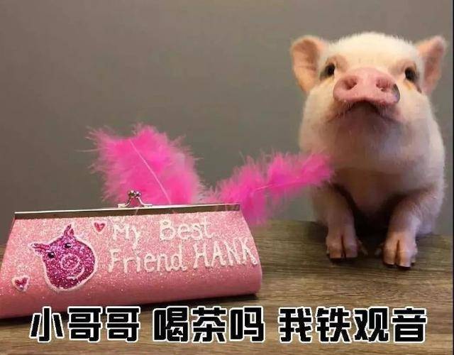 撩小哥哥表情包:小哥哥网恋吗?我萝莉音