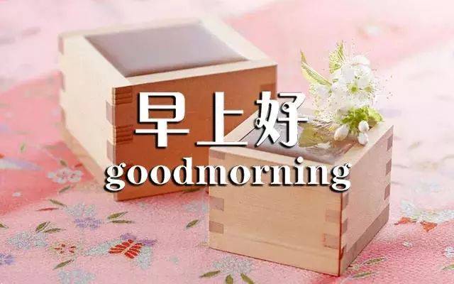 3月最新早上好问候图片鲜花带字 新的一天早安语说说心情句子
