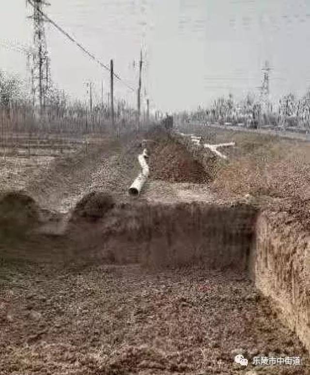 德州市乐陵市市中街道重点工作周报