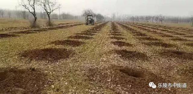 德州市乐陵市市中街道重点工作周报