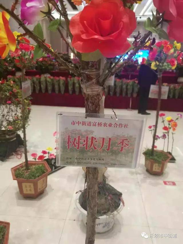 德州市乐陵市市中街道重点工作周报