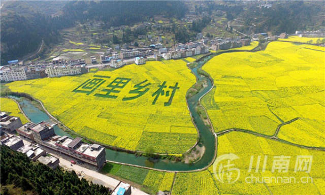 2019古蔺县双沙菜花旅游文化开放月将于3月9日开幕