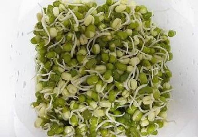 冬吃根,春吃芽,春天吃豆芽有啥好处?