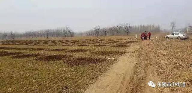 德州市乐陵市市中街道重点工作周报