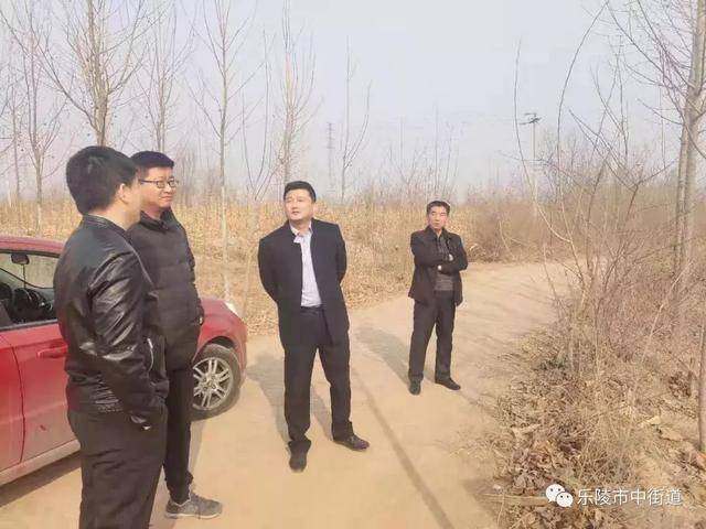 德州市乐陵市市中街道重点工作周报