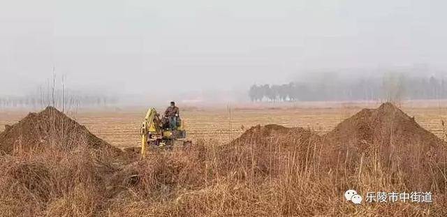 德州市乐陵市市中街道重点工作周报