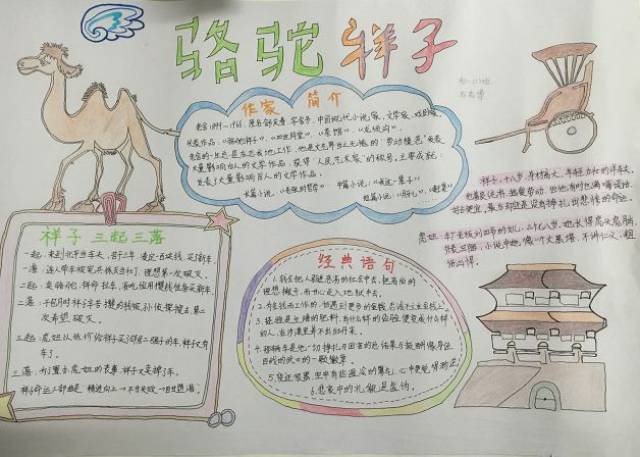 【特辑】《骆驼祥子》手抄报