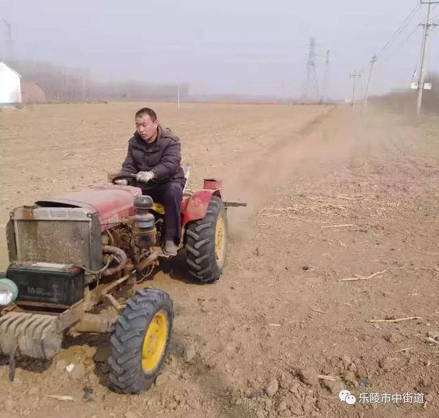 德州市乐陵市市中街道重点工作周报