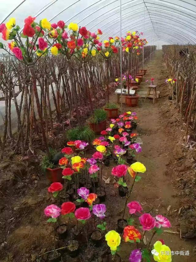 德州市乐陵市市中街道重点工作周报