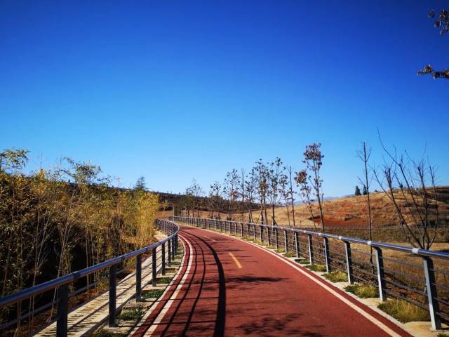 传递赛事温度丨2019昭璞绿道山地马拉松社会志愿者招募志愿者成长计划