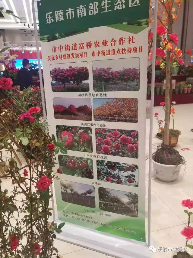 德州市乐陵市市中街道重点工作周报