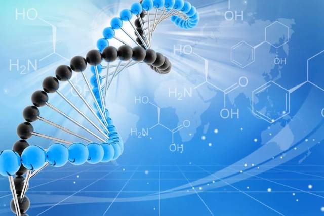 科研丨利用dna甲基化进行宏基因组binning以及分析细菌宿主基因组和