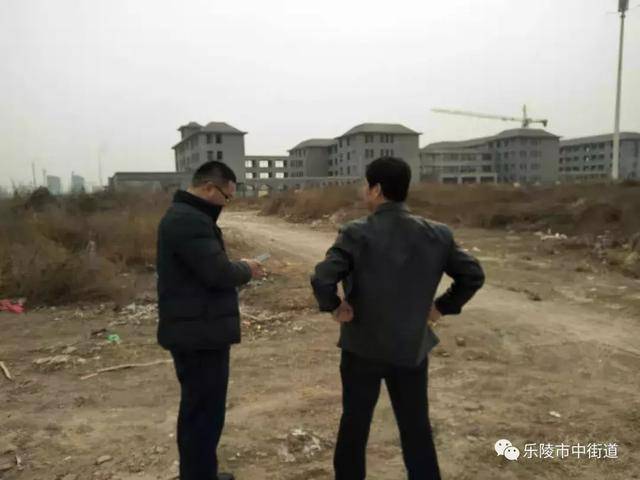 德州市乐陵市市中街道重点工作周报