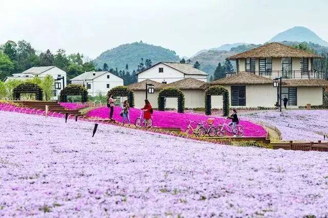 旧州山里江南花海