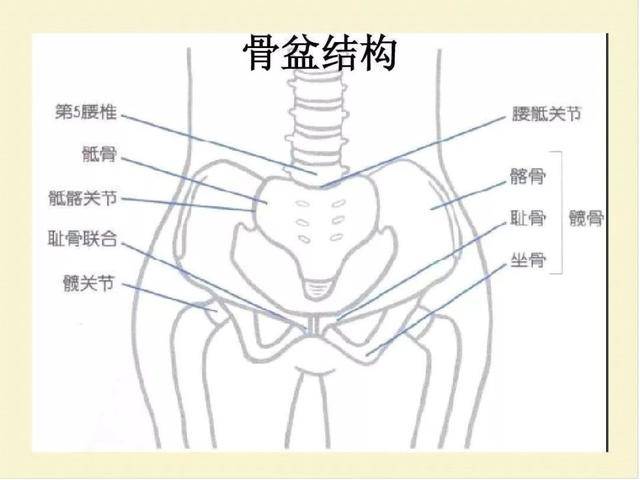 矫正骨盆,消灭你的小肚子