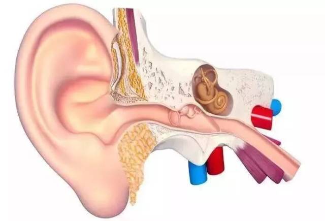 这种挖耳方式会致癌,你却还在做!据说听不到这声音的人耳朵已老化