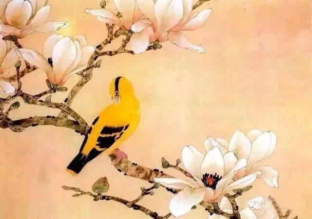 历代名家笔下的玉兰花,美不胜收!
