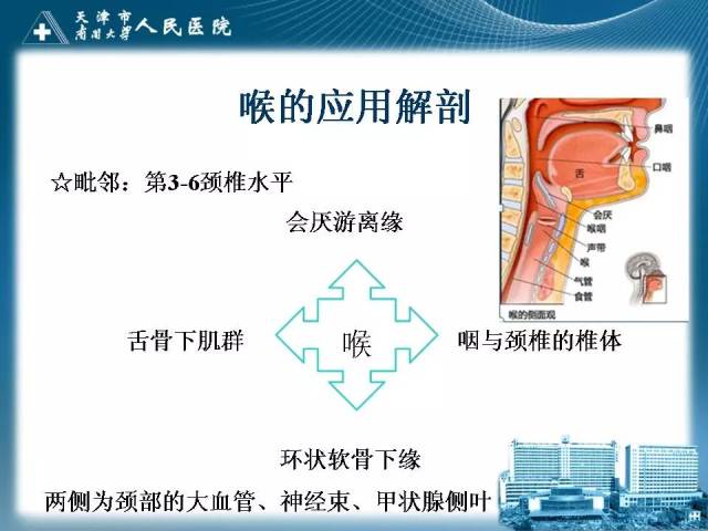喉的应用解剖与影像解剖 影像天地