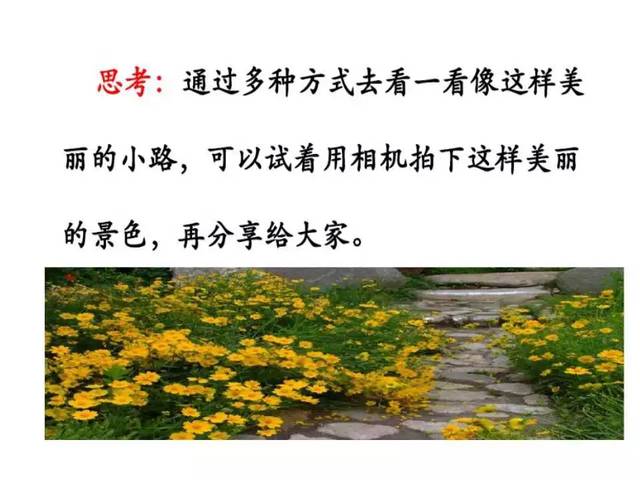 课文3 开满鲜花的小路  资料来源:公众号部编版语文学习