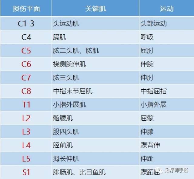 留言解读——【脊髓损伤平面】